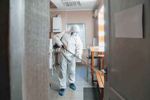 Mold Documentation for Insurance Claims in Boulder Hill, IL